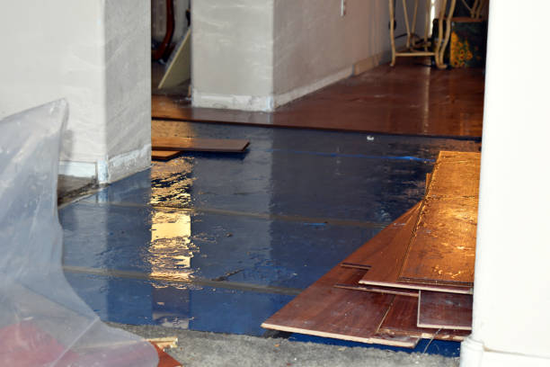 Professional Emergency Water Damage Restoration technician working in Riverside, OH